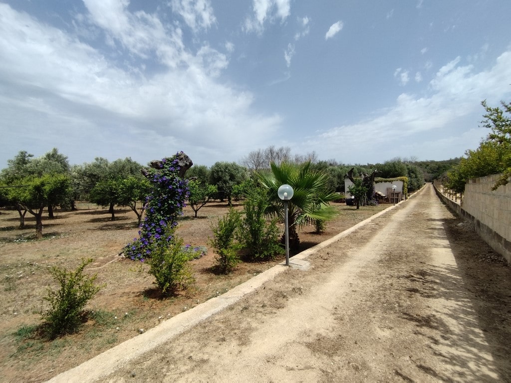 Giano Group Immobiliare